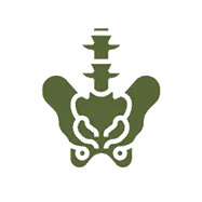Severe Pelvic Pain Icon